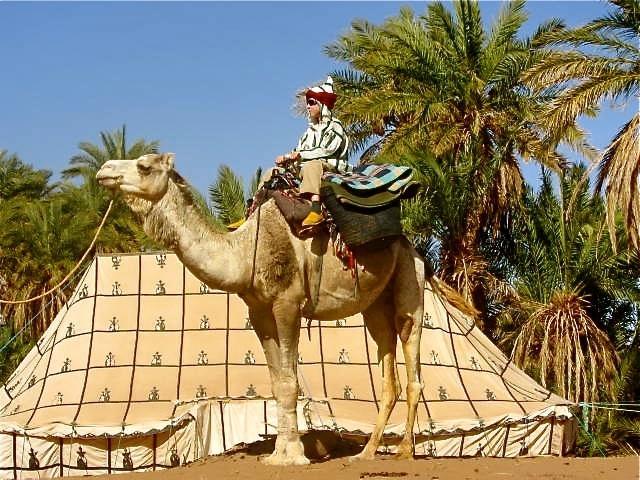 Dar Sidi Bounou M'Hamid Exterior foto